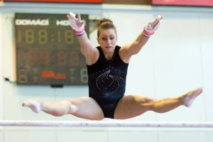 MČR ve sportovní gymnastice, závod žen a mužů, Brno, 30.5.2015